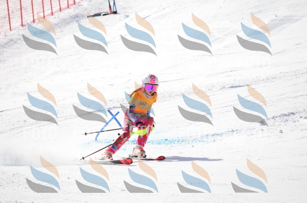 C9468 | holidayphoto