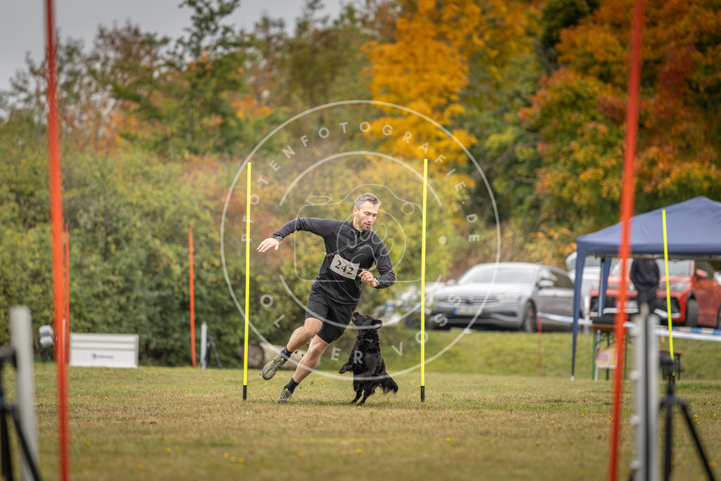 Pfotenfotografie_DV3A5494 | Hundefotografie, Tierfotograf, Pfotenfotografie, Fotoshooting Hund, Hunde Portrait, Hundesport, Hundeportraits, Heideshooting, Hunde, Sportfotograf, Hundefotograf, Turnierhundsport, THS,  - Realisiert mit Pictrs.com