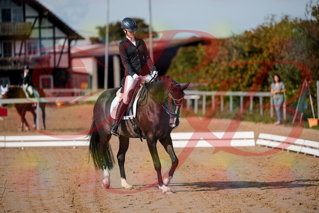 2026_10_03_Siefer-Hof_113336_Z63_19974253 | Professionelle Reitsport-, Turnier- und Eventfotografie von Robert Broda. Galerien mit ausgewählten und bearbeiteten Bildern direkt online ansehen und bestellen.