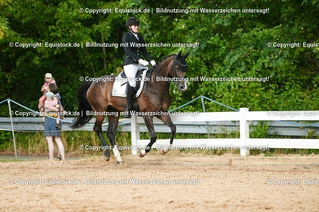 20230716_01_Dressurprüfung Kl.M_0520 | equistock