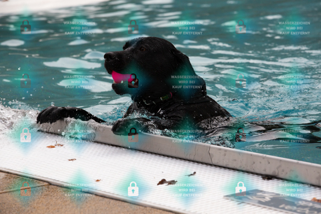 _HP_7512_1000o | HetPix, HetPix Fotodesign, Fotografie, Fotodesign, Webshop, Sportfotografie, Portraitfotografie, Onlineshop, Sportfotografie, Polch, Motorsportfotografie, Eventfotografie