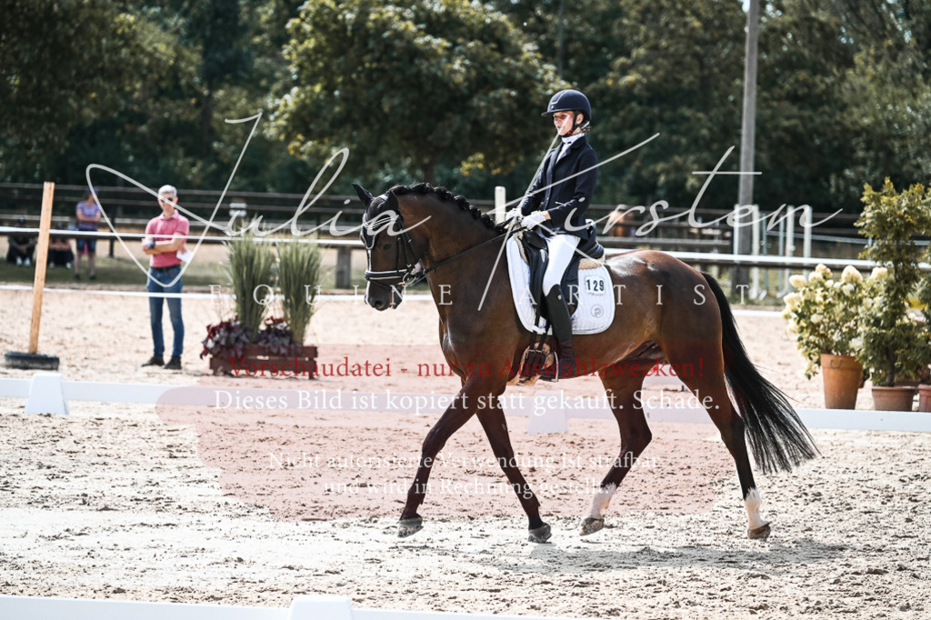 DSC_5229 | Pferde- und Turnierfotografie in Westsachsen. Pferdeportraits, Auftragszeichnungen und intuitive Kunst.