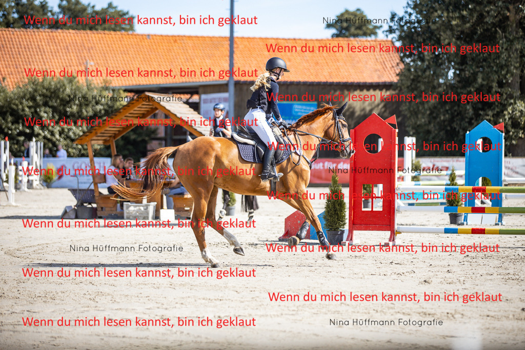 BK1A7018 | Turnierbilder Turnierfotos Nina Hüffmann Turnierfotografie Pferdefotografie Tierzeichnung Haustierzeichnung Pferdezeichnung Hundezeichnung Videograf  - Realisiert mit Pictrs.com