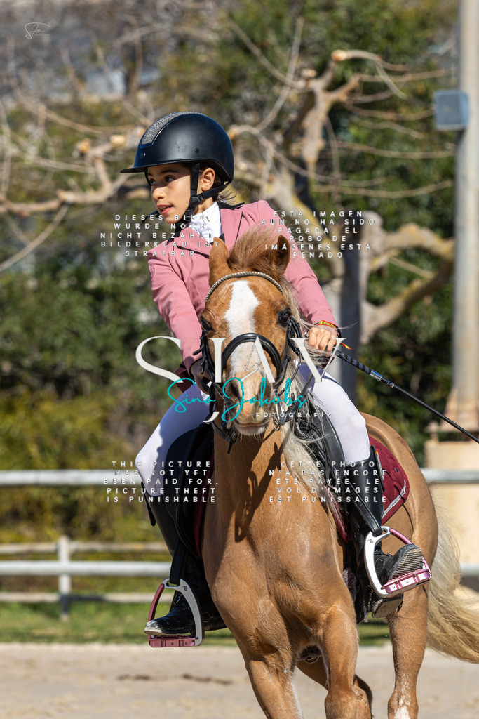 IMG_8759 | s-jay-photography - Realisiert mit Pictrs.com