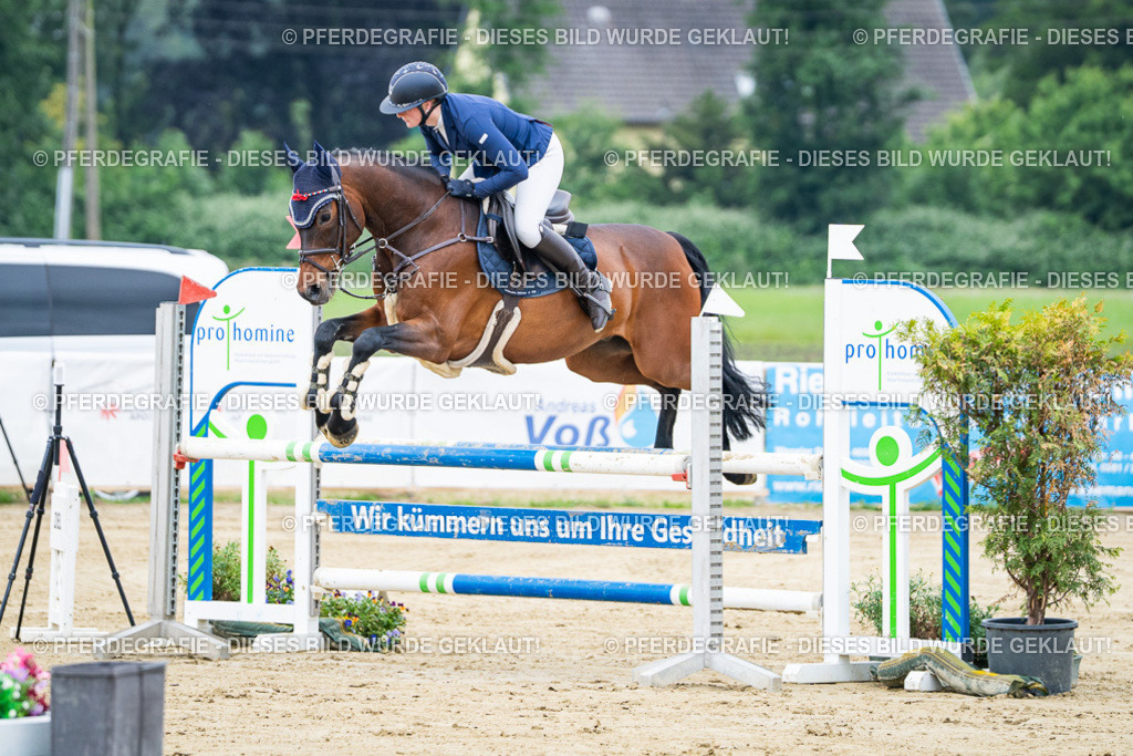 DSC03325 | Pferdegrafie