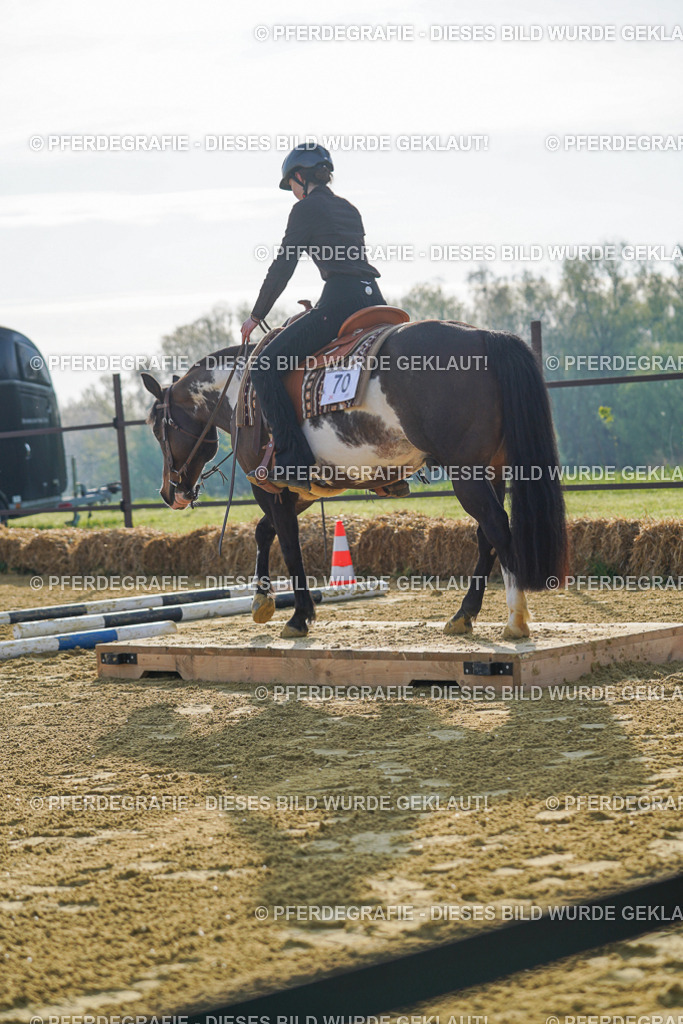 DSC00705 | Pferdegrafie