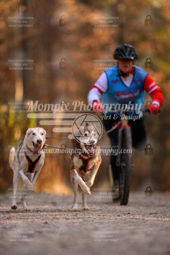 MompixPhotography_DM_AKDM_SO_2025_Scooter-61 | PayLife