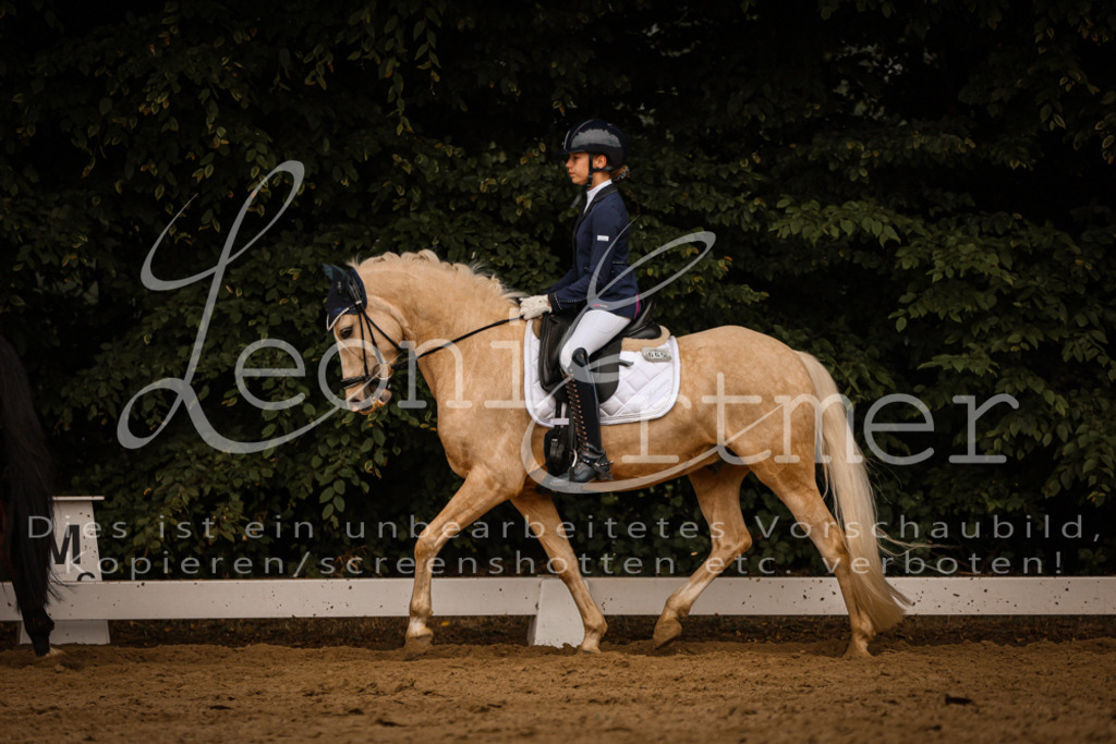 DoDrA00587 | Leoni Ertmer Photography - Realisiert mit Pictrs.com