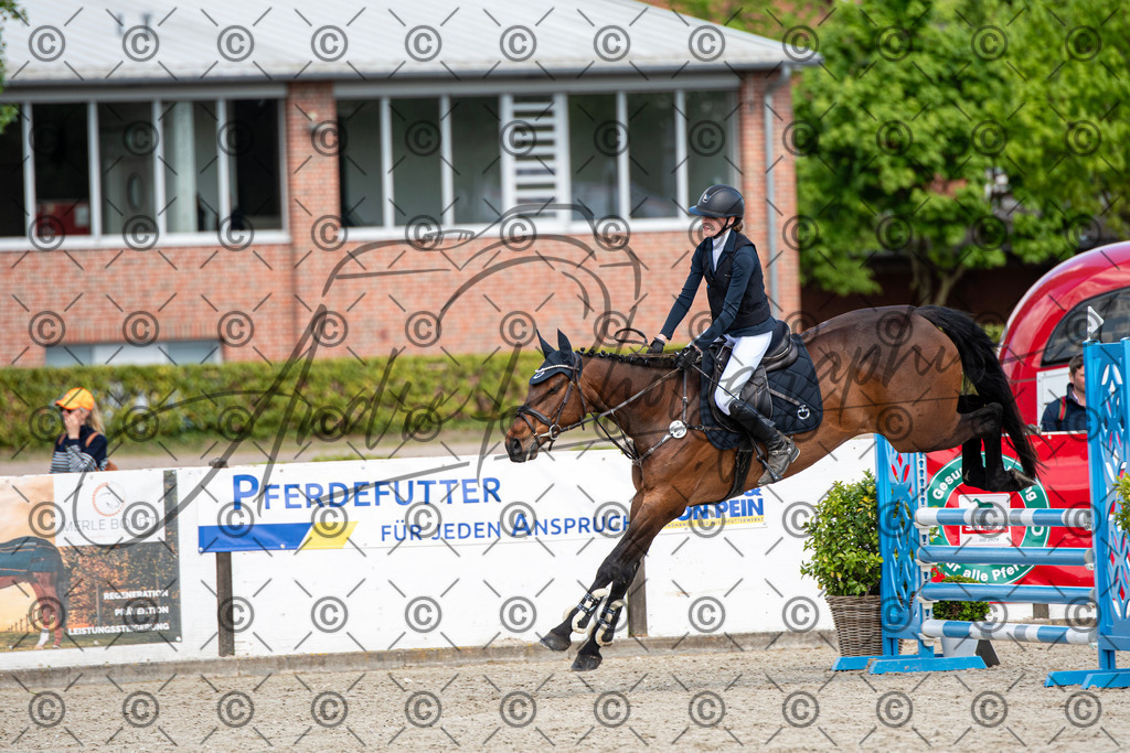 KPT_5078 | andre_photographic