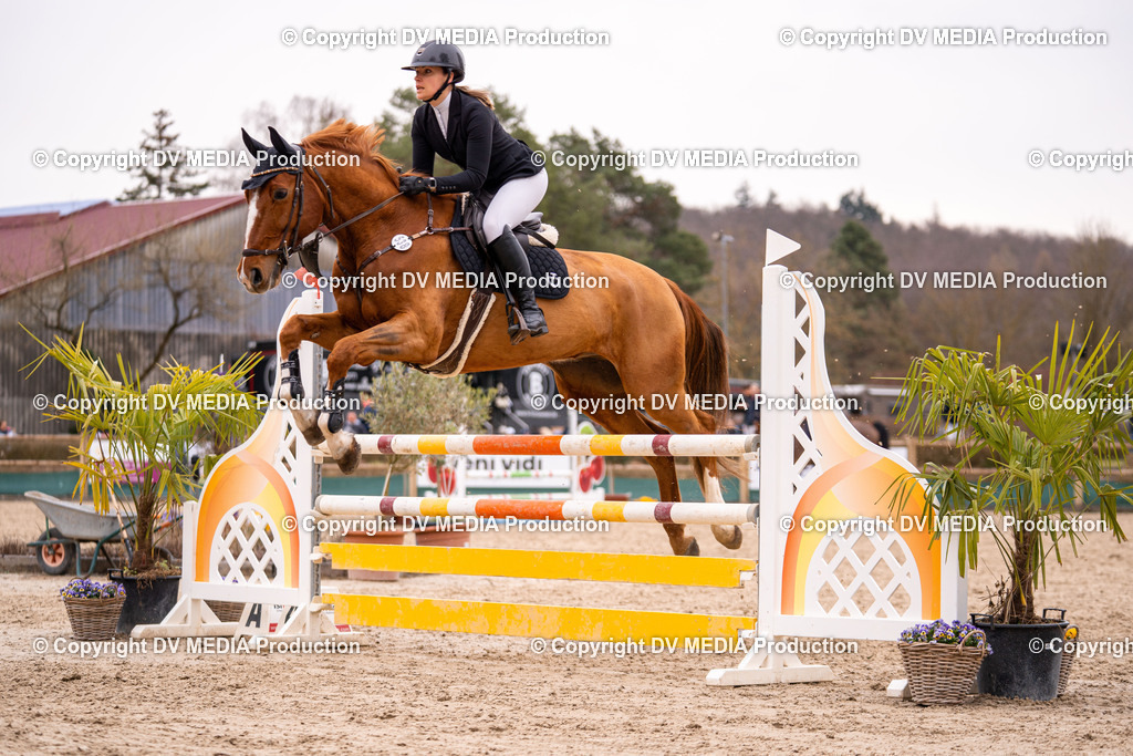 Kranichstein Tag 2-170 | dv-media-shop - Realisiert mit Pictrs.com