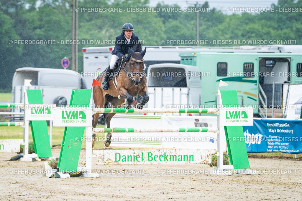 DSC00081 | Pferdegrafie