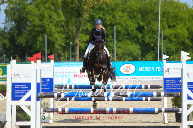 Gut Blee25_Amateuer Stilsprpfg Kl L_0099 | Turniersportfotografie; Pferdefotografie; Dressurfotografie