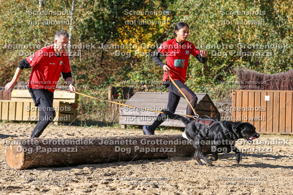 Dog Paparazzi - Strongdog 10-25-4704 | Dog Paparazzi Jeanette Grottendiek Fotografie & Videografie - Realisiert mit Pictrs.com