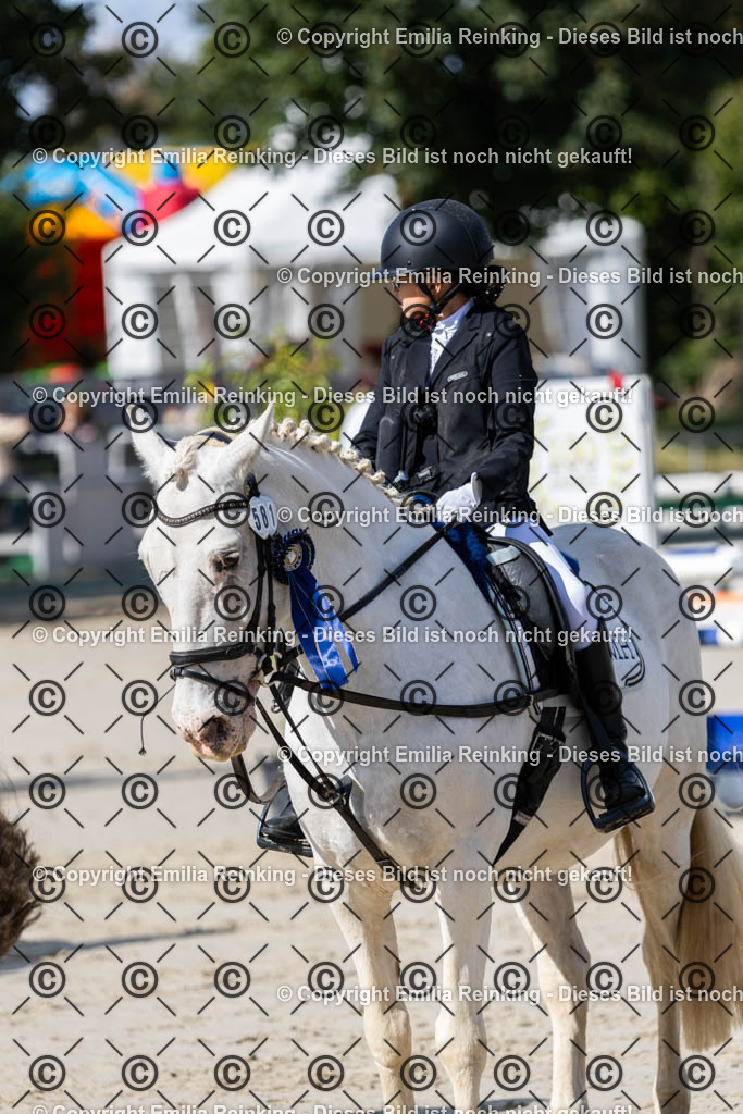 CL5A2026 | Emilia Reinking Fotografie - Realisiert mit Pictrs.com