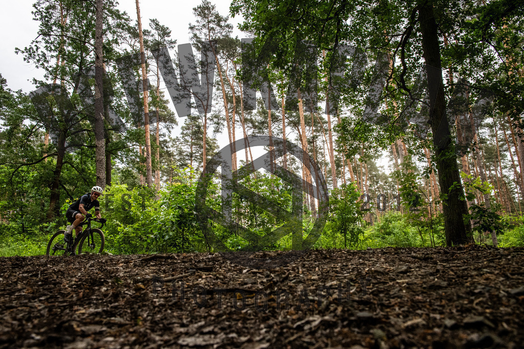 DKP-4607 | Drew Kaplan Photography