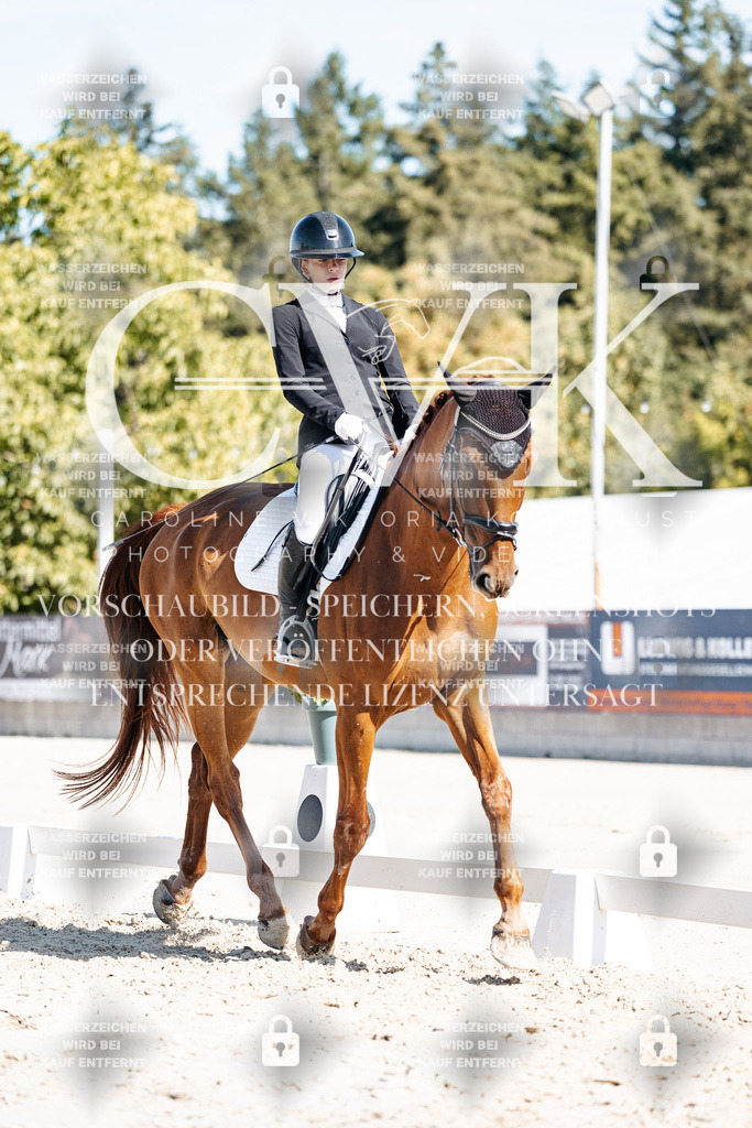 CK908760 | Turnierfotografie Pferdefotografie Trier Rheinland-Pfalz Pferdesport Reitsport Tierfotografie Sportfotografie Pferdevideo Pferdevideografie Equestrianvideography equestrianphotography  - Realisiert mit Pictrs.com
