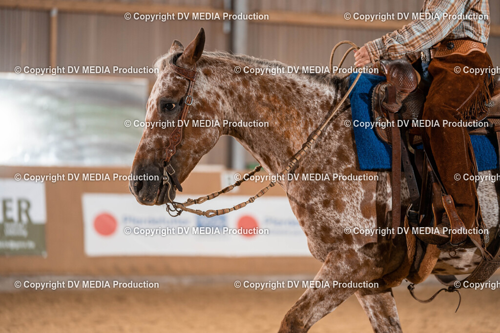 Losheim Tag 1-192 | dv-media-shop - Realisiert mit Pictrs.com