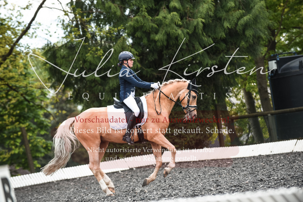 20230514_JK-Röhrsdorf-24-431 | Pferde- und Turnierfotografie in Westsachsen. Pferdeportraits, Auftragszeichnungen und intuitive Kunst.