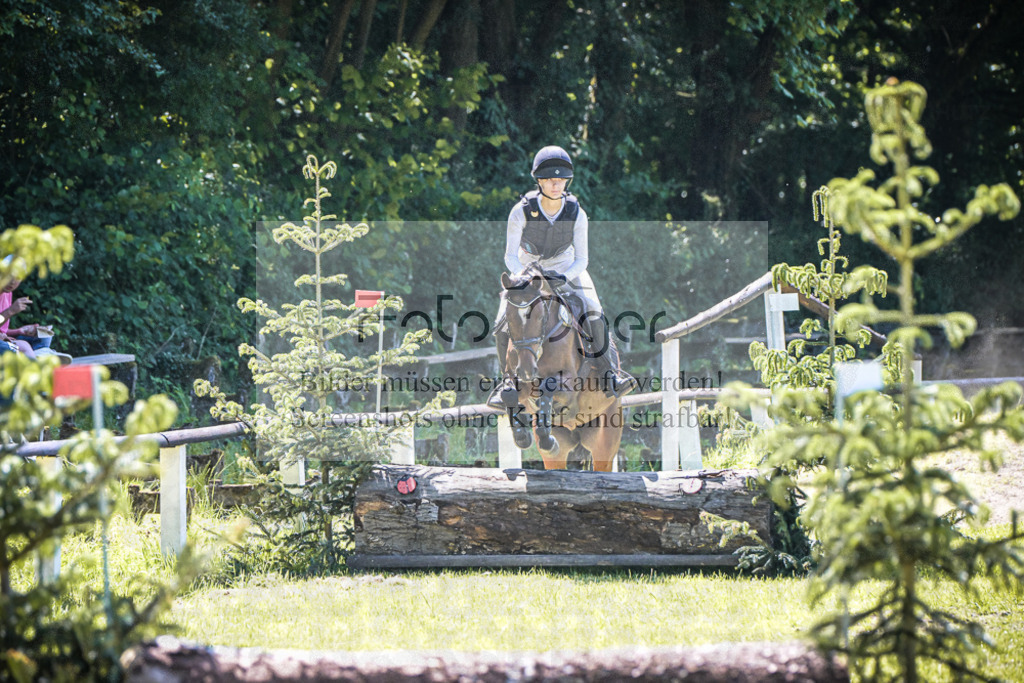 DOS_3896 | Entdecke hochwertige Reitturnierfotos von Foto Oger. Professionell, emotional und authentisch – jetzt Lieblingsmomente im Shop bestellen.Deutschlandweite Turnierfotografie. - Realisiert mit Pictrs.com