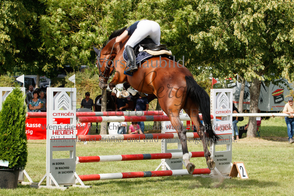 IMG_3718 | P. Berger Fotografie - Realisiert mit Pictrs.com