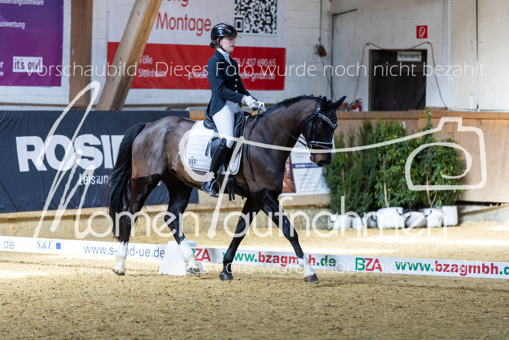 Sth-LPO25-DrR-L-152 | MomenTaufnahmen Pferdesportfotos