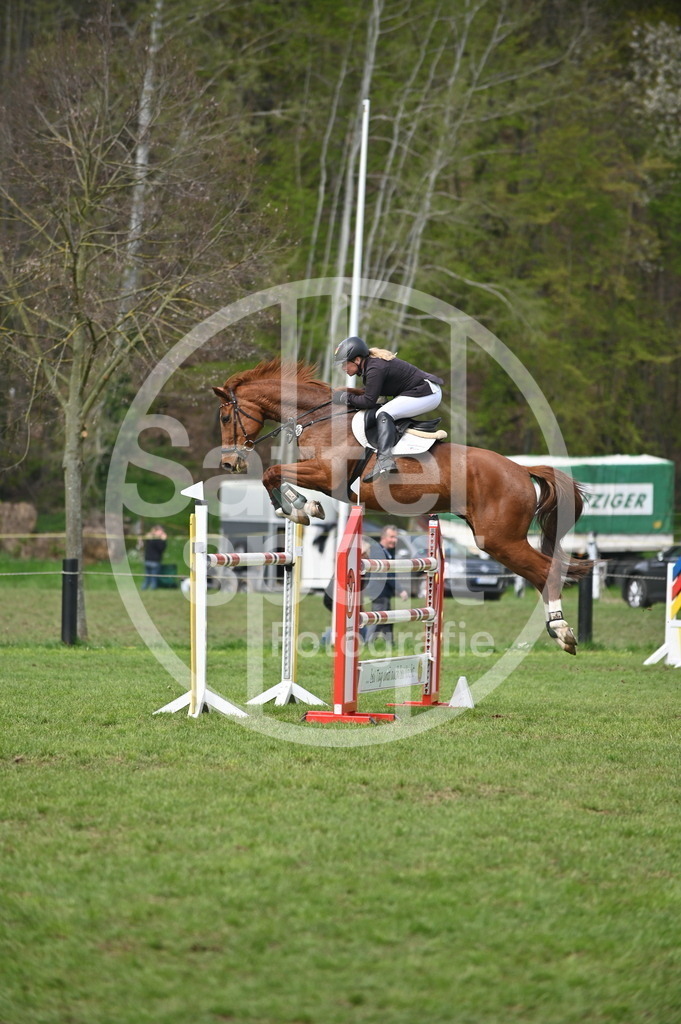 DSC_3767 | sattelsport - Realisiert mit Pictrs.com