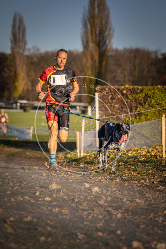 CaniXpix_DV3A4242 | Hundefotografie, Tierfotograf, Pfotenfotografie, Fotoshooting Hund, Hunde Portrait, Hundesport, Hundeportraits, Heideshooting, Hunde, Sportfotograf, Hundefotograf, Turnierhundsport, THS,  - Realisiert mit Pictrs.com