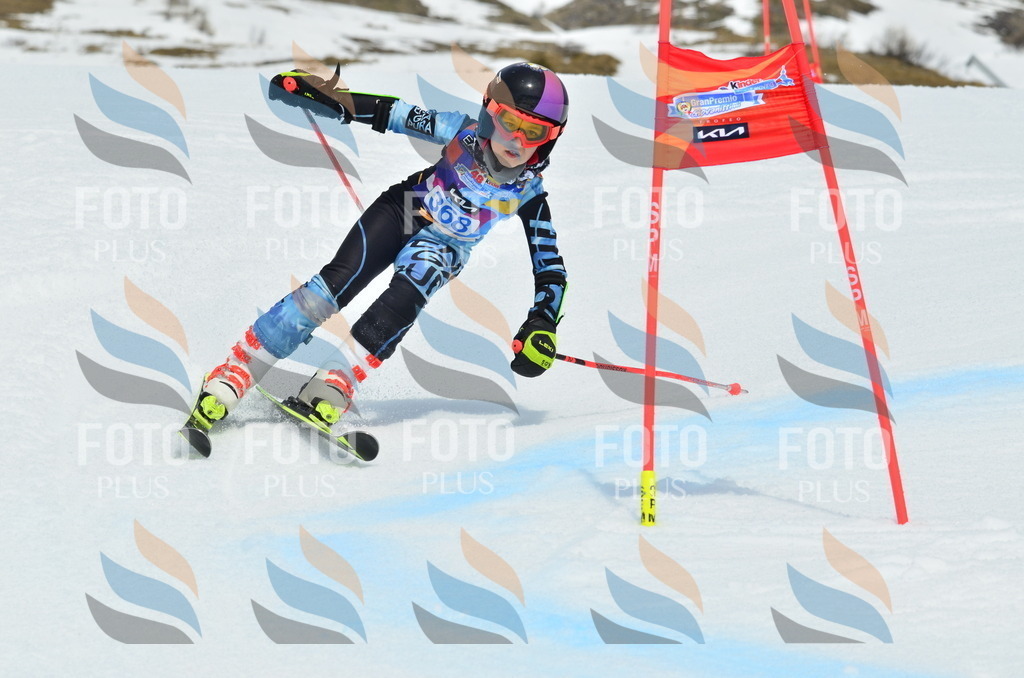 _ELE2987 | holidayphoto