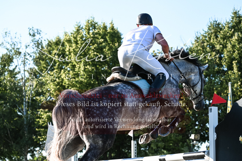 DSC_3092 | Pferde- und Turnierfotografie in Westsachsen. Pferdeportraits, Auftragszeichnungen und intuitive Kunst.