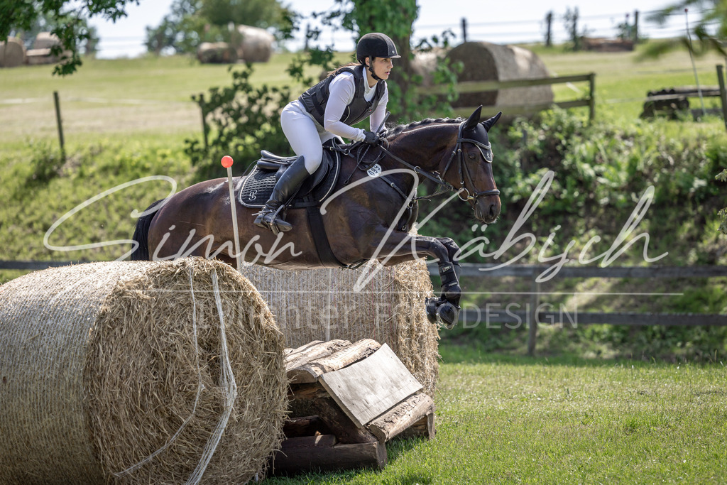 20260523-_3LI9041 | Tierfotografie Pferde, Hunde, Katzen, Haustiere.
Turnierfotografie Reitturniere, Reiten, Springreiten, Dressur in Hanau, dem Main-Kinzig-Kreis und dem Rhein-Main- Gebiet um Frankfurt