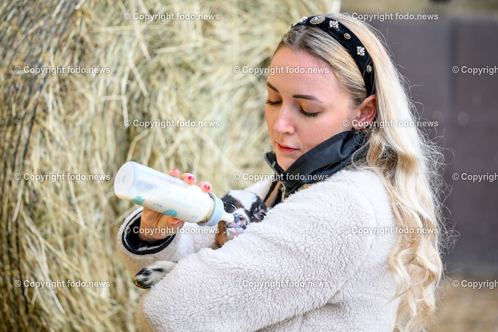 Gnadenhof Wiesmayrgut_ Familie Fuchsberger_ Gunskirchen_ 05.03.2024-13 | 05.03.2024, Gunskirchen, AUT, Gnadenhof Wiesmayrgut, Familie Fuchsberger, im Bild Denise Prueckl mit einer Baby Ziege