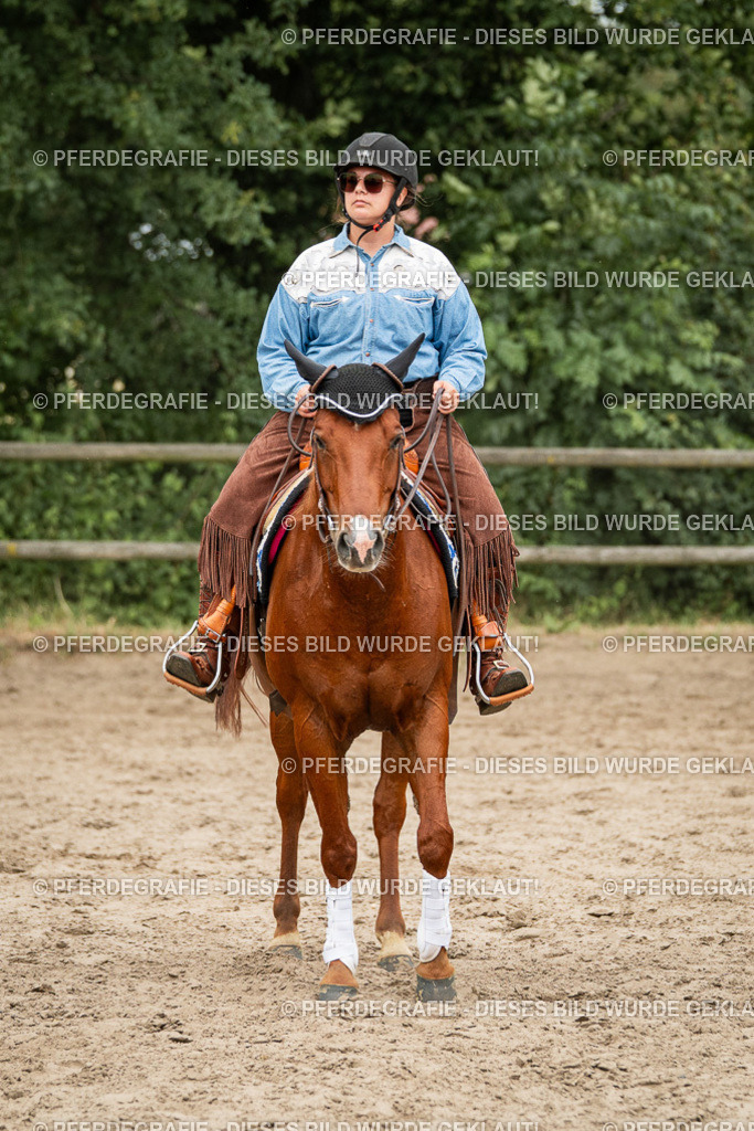 DSC03615 | Pferdegrafie