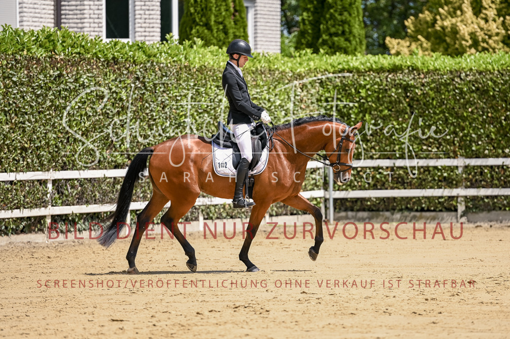 Schugtsche-Aluta25-48.Reitpferfdeprf.-238 | Schugtsche Fotografie - Realisiert mit Pictrs.com