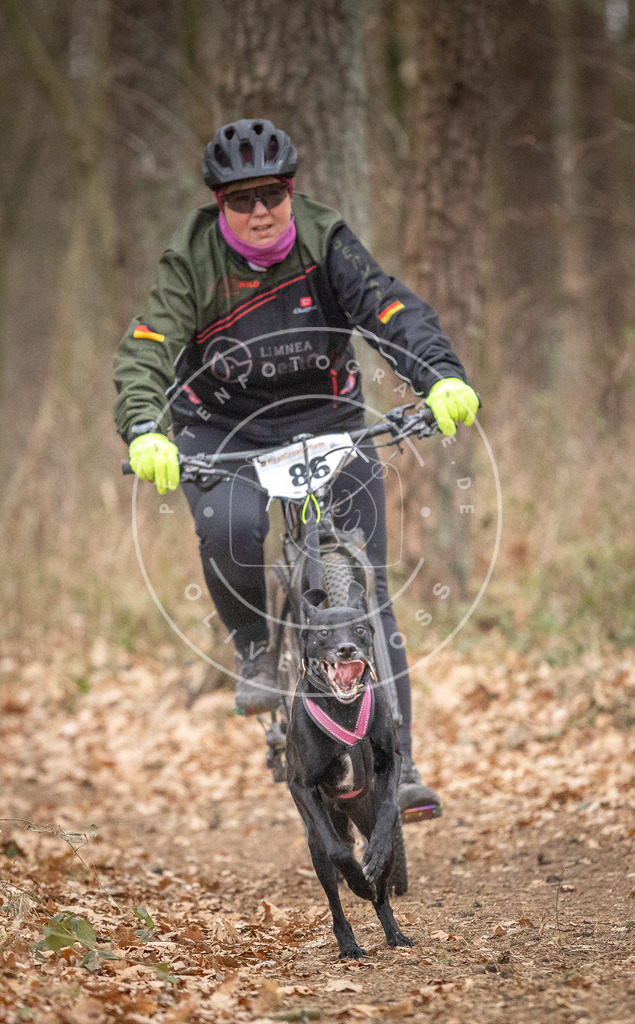 Pfotenfotografie_DV3A6314 | Hundefotografie, Tierfotograf, Pfotenfotografie, Fotoshooting Hund, Hunde Portrait, Hundesport, Hundeportraits, Heideshooting, Hunde, Sportfotograf, Hundefotograf, Turnierhundsport, THS,  - Realisiert mit Pictrs.com