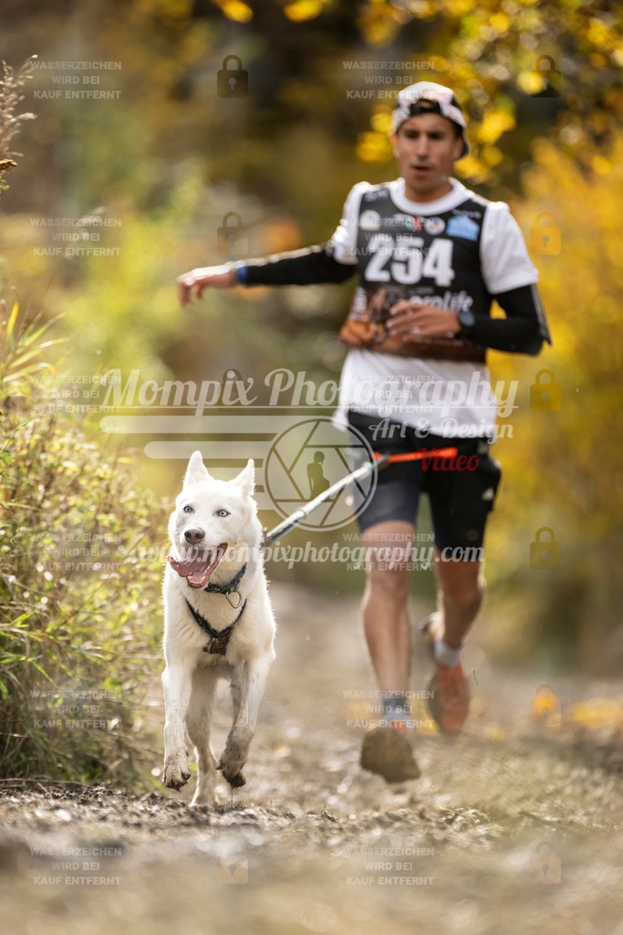 MompixPhotography_ICF_WC_2024_SA_Run_-53 | PayLife
