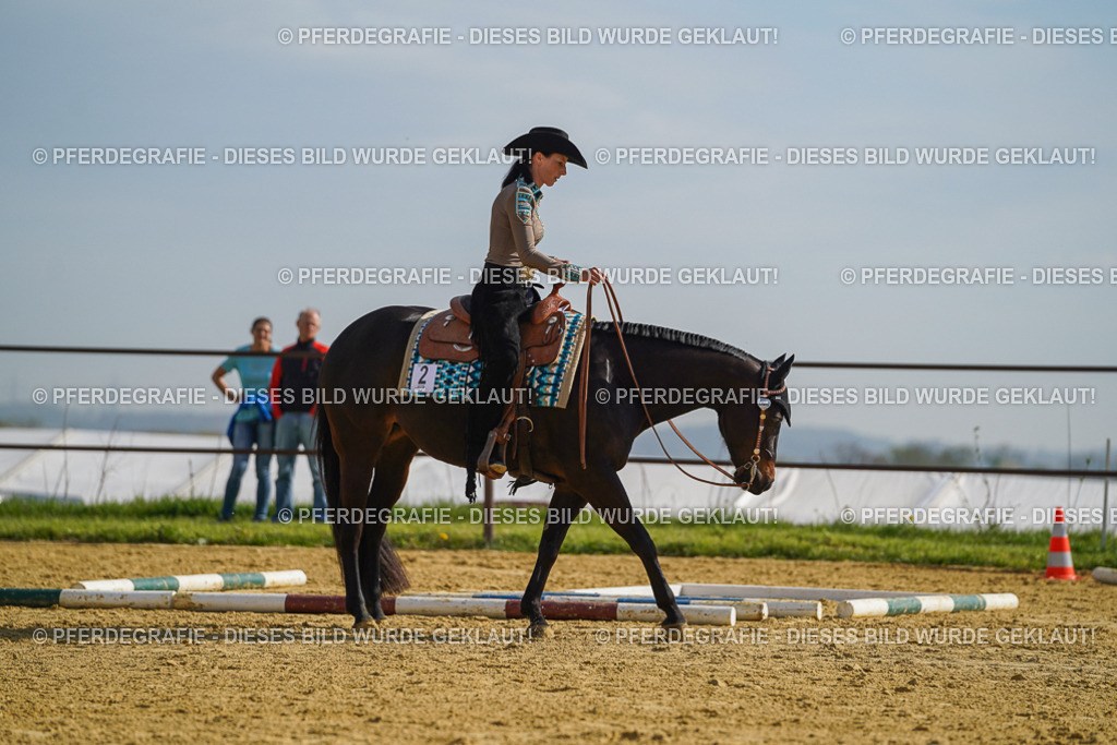 DSC01365 | Pferdegrafie