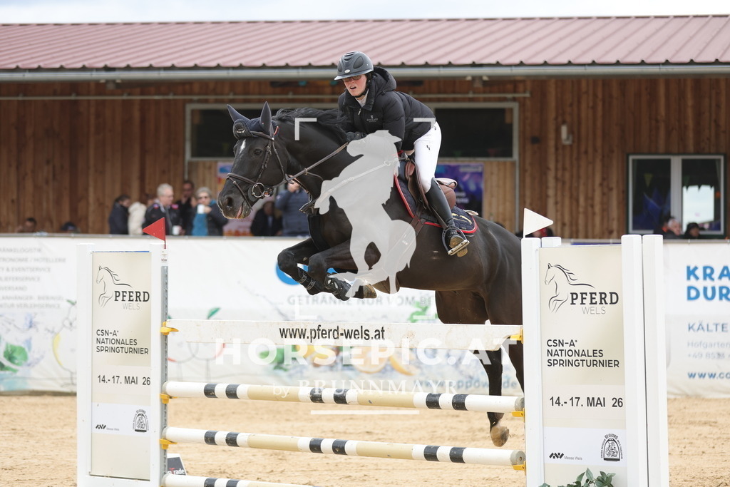 0P6A3363 | Willkommen bei Brunnmayr - Design & Fotografie – Ihrem Spezialisten für Reitturniere und Pferdeveranstaltungen in Oberösterreich, Salzburg und Bayern! Seit über 17 Jahren sind wir leidenschaftlich dabei.