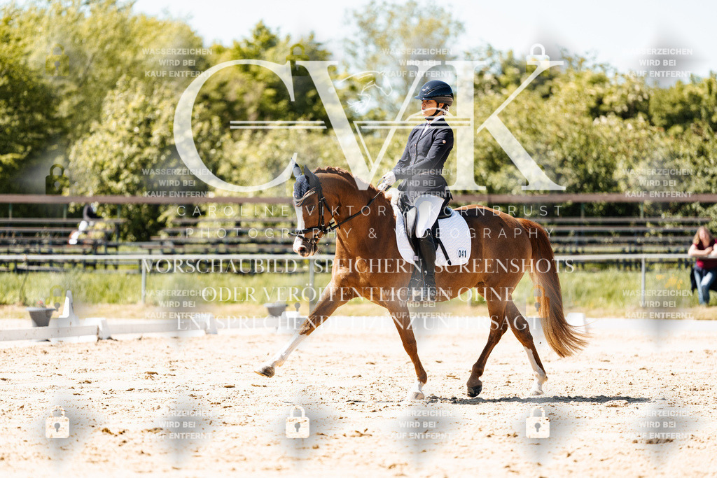 CK905630 | Turnierfotografie Pferdefotografie Trier Rheinland-Pfalz Pferdesport Reitsport Tierfotografie Sportfotografie Pferdevideo Pferdevideografie Equestrianvideography equestrianphotography  - Realisiert mit Pictrs.com