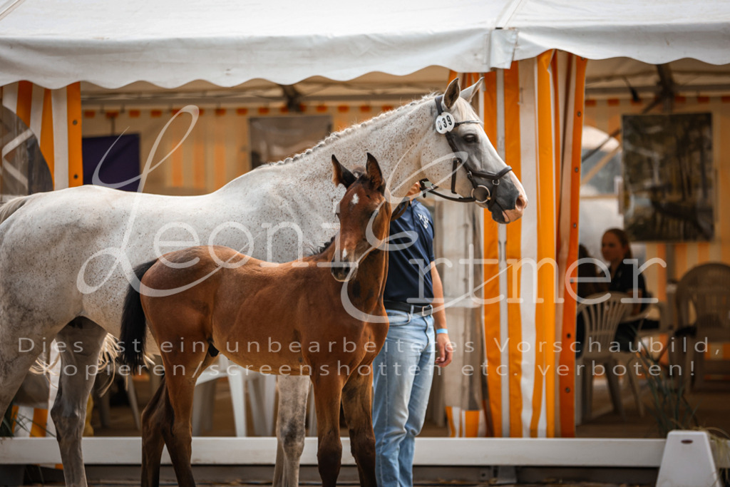 07.DoWBS00084 | Leoni Ertmer Photography - Realisiert mit Pictrs.com