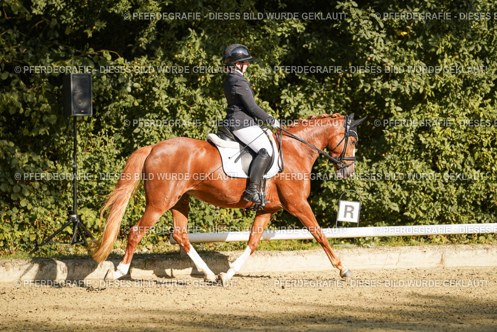 DSC06101 | Pferdegrafie