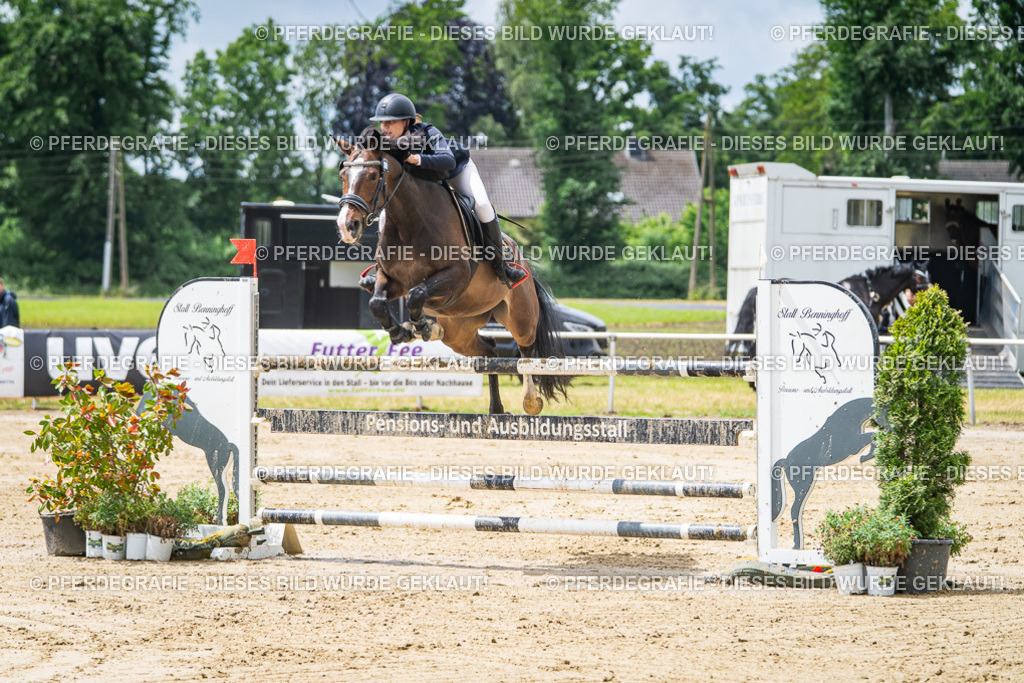 DSC04530 | Pferdegrafie