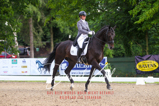 DKP41451 | Turniersportfotografie; Pferdefotografie; Dressurfotografie