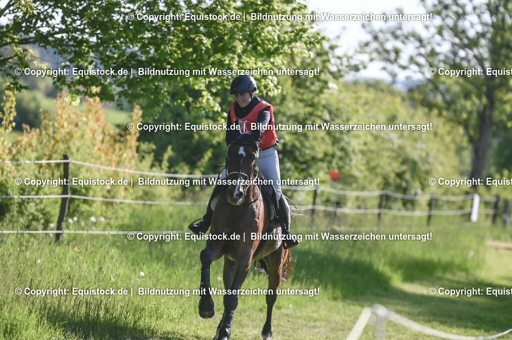 20250517_CCI2_Gelände_0180 | Foto: Thomas Hartig