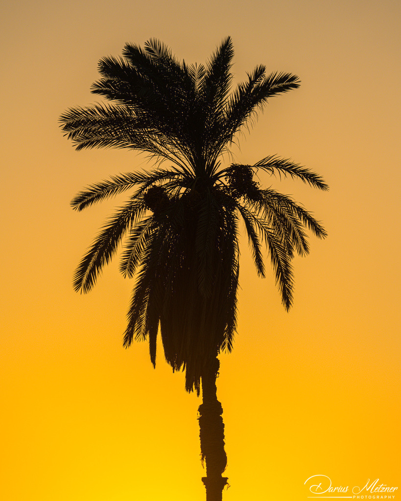 Bilder aus Luxor | Bilder aus Luxor