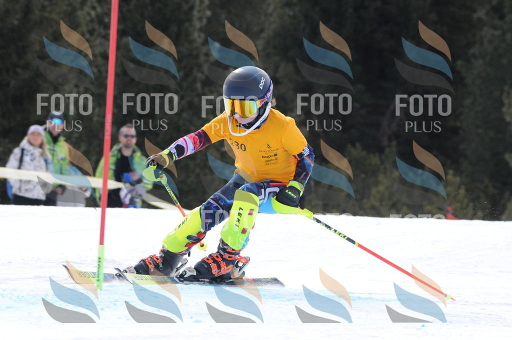 C7665 | holidayphoto