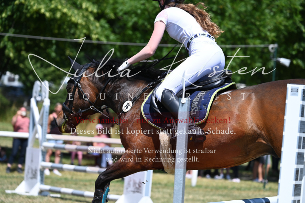 DSC_0794 | Pferde- und Turnierfotografie in Westsachsen. Pferdeportraits, Auftragszeichnungen und intuitive Kunst.