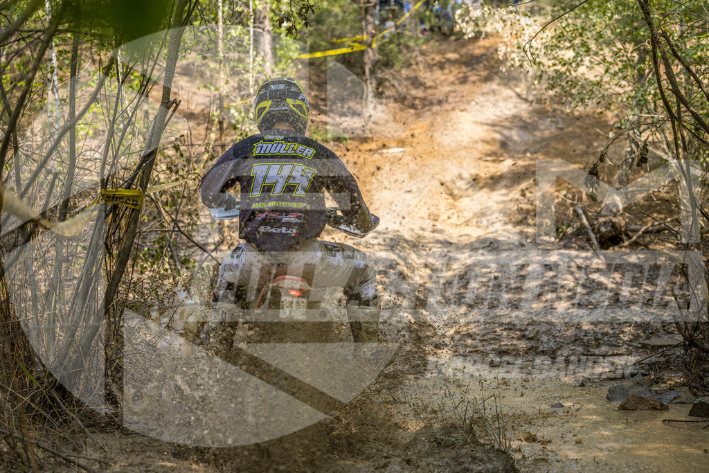 FAM_6163 | fullactionmedia-shop