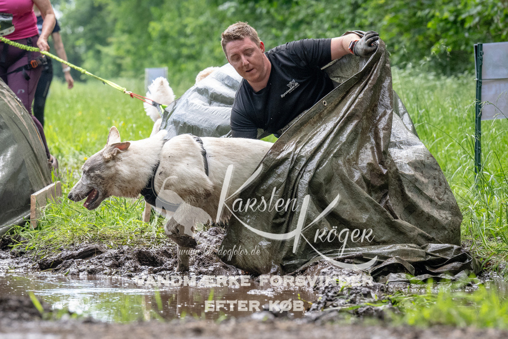 1106_ZZ91402 | kk-dogfotos
