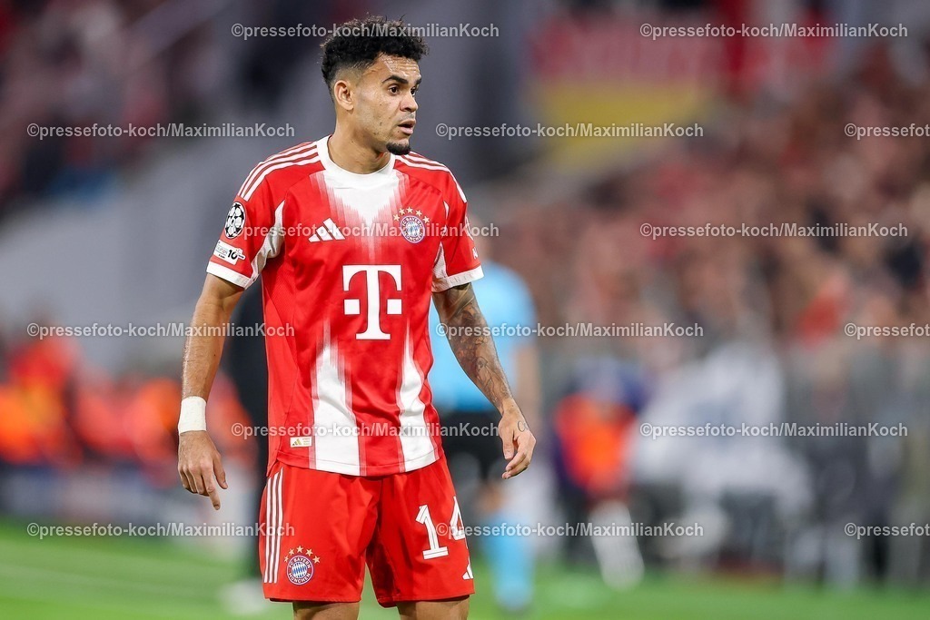 UCL22102501046 | 22.10.2025, Fußball, UEFA Champions League, FC Bayern München - Club Brügge, Allianz Arena, Saison 2025 2026: Luis Diaz&nbsp;(FC Bayern Muenchen #14) Regulations prohibit any use of photographs as image sequences and or quasi-video.