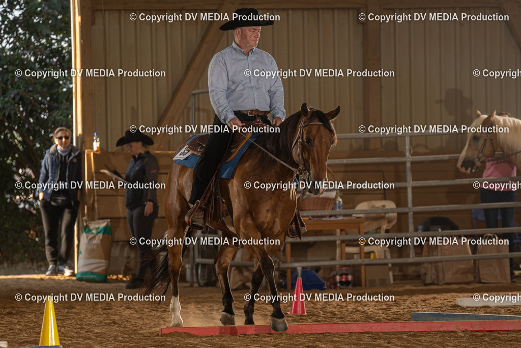 NID02517 | dv-media-shop - Realisiert mit Pictrs.com